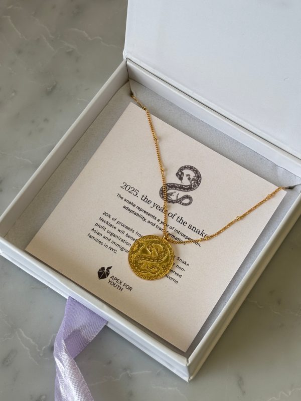 YEAR OF THE SNAKE NECKLACE Online