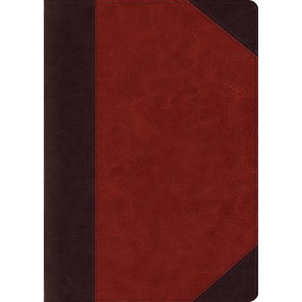 ESV Study Bible Large Print (Trutone Brown   Cordovan Portfolio Design)(Imitation Leather) Discount