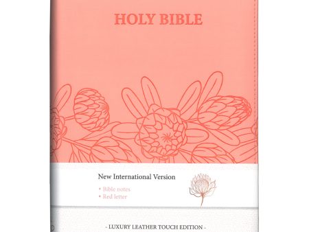 NIV Salmon Pink Protea Imitation Leather Compact Holy Bible Red Letter Online now