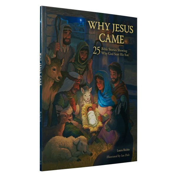 Why Jesus Came: 25 Bible Stories Showing Why God Sent His Son (Paperback) Online Sale