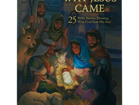 Why Jesus Came: 25 Bible Stories Showing Why God Sent His Son (Paperback) Online Sale