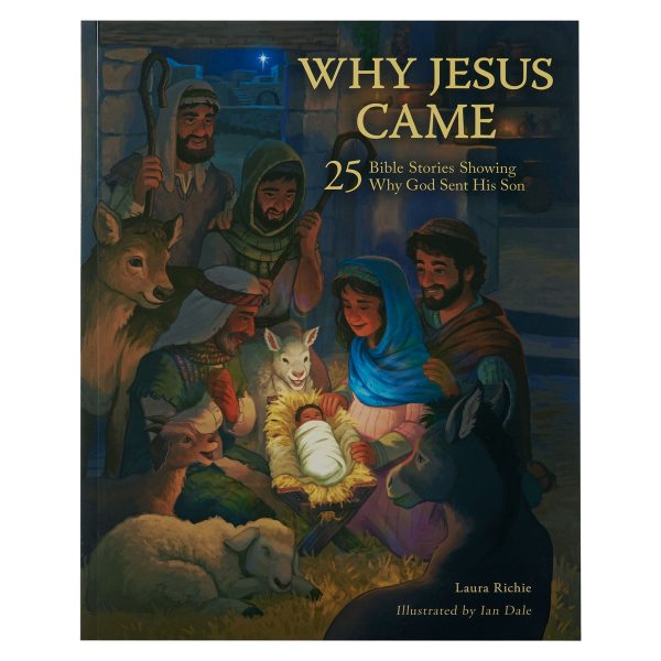 Why Jesus Came: 25 Bible Stories Showing Why God Sent His Son (Paperback) Online Sale