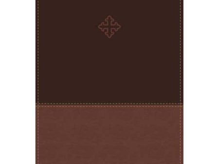 Amplified Study Bible Indexed Brown (Imitation Leather) Online Hot Sale