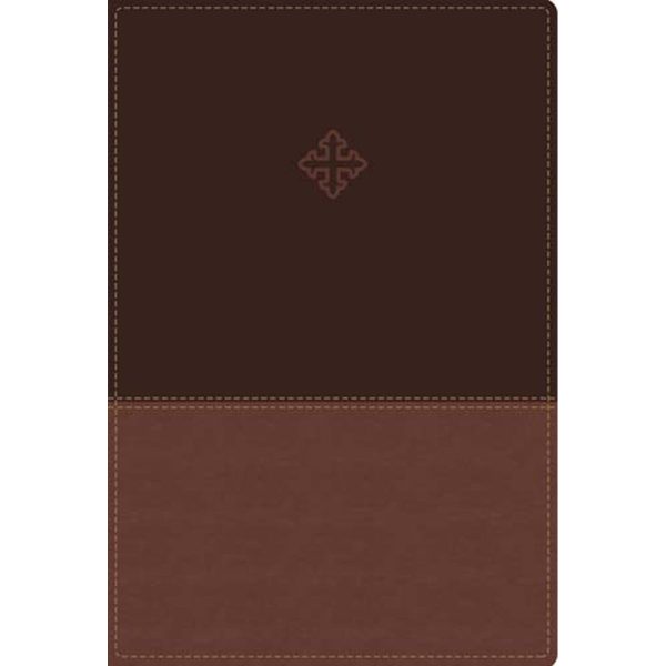 Amplified Study Bible Indexed Brown (Imitation Leather) Online Hot Sale