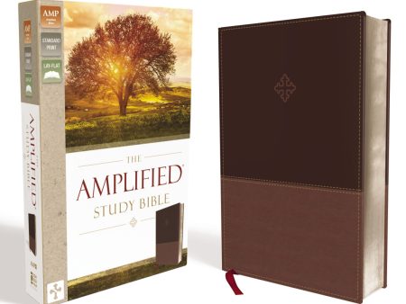 Amplified Study Bible Brown (Imitation Leather) Hot on Sale