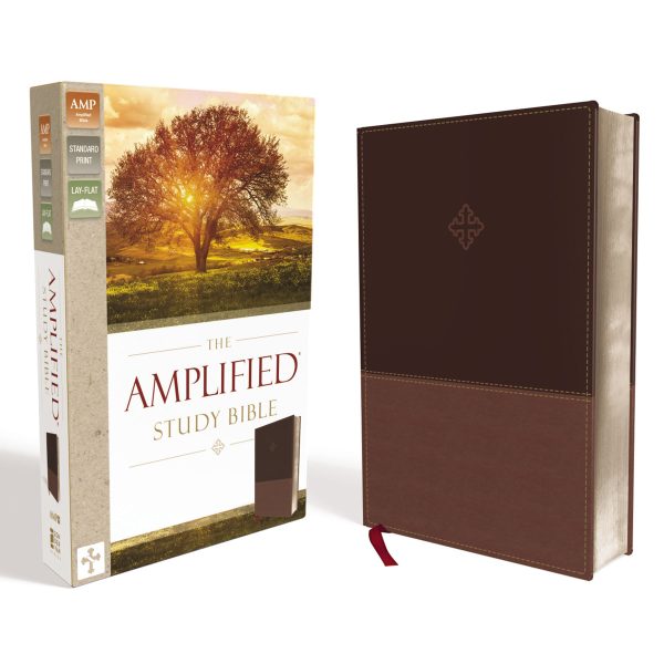 Amplified Study Bible Brown (Imitation Leather) Hot on Sale