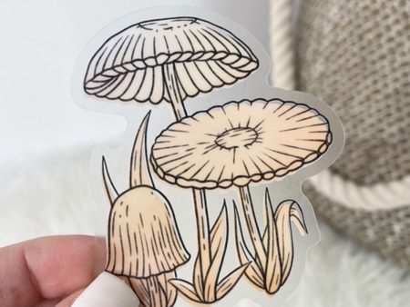 Agaricus Plicatilis Clear Vinyl Sticker For Sale