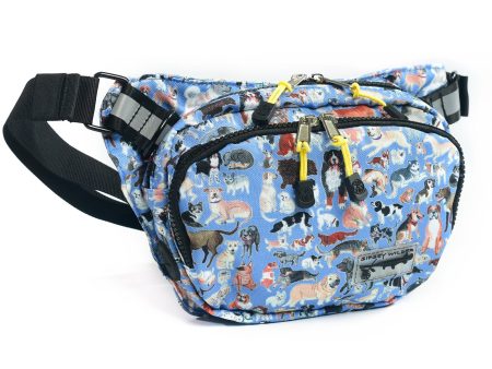 Dog Park Rover Hip Pack 2.0 Online now